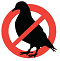 Bird Netting services